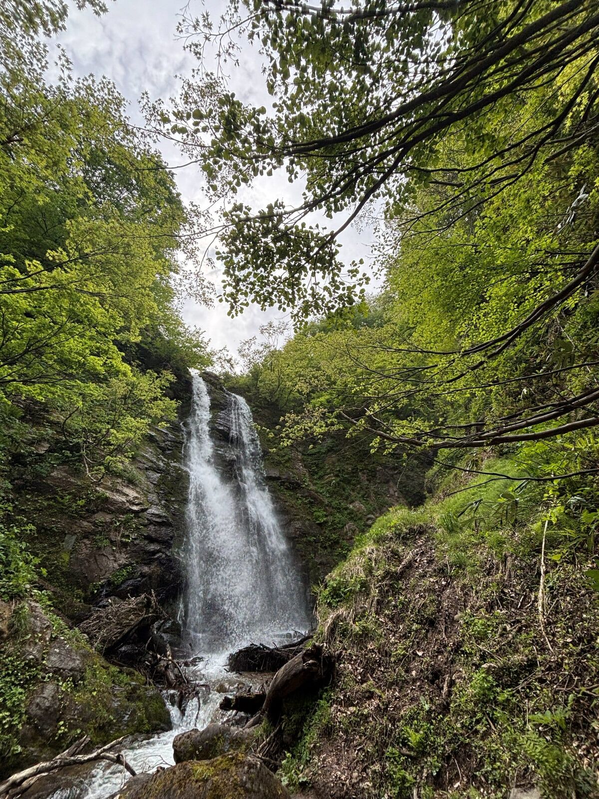 不動滝の大ゼン。山道を登った先にある