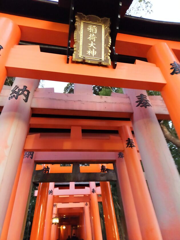 伏見稲荷大社の千本鳥居。「稲荷大神」の額を掲げた朱色の鳥居が奥まで続いている