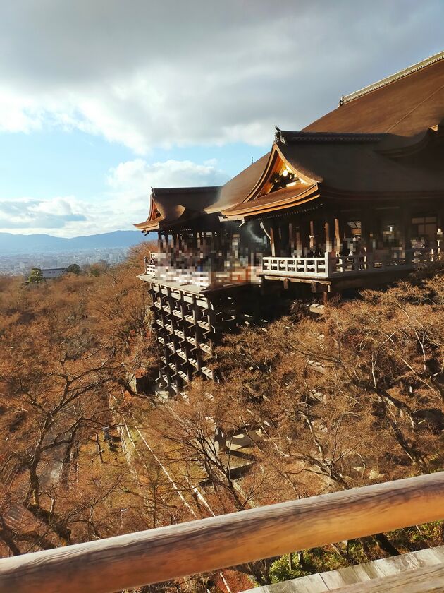 清水寺の本堂と、木々の上に張り出した清水の舞台を横から見た眺め