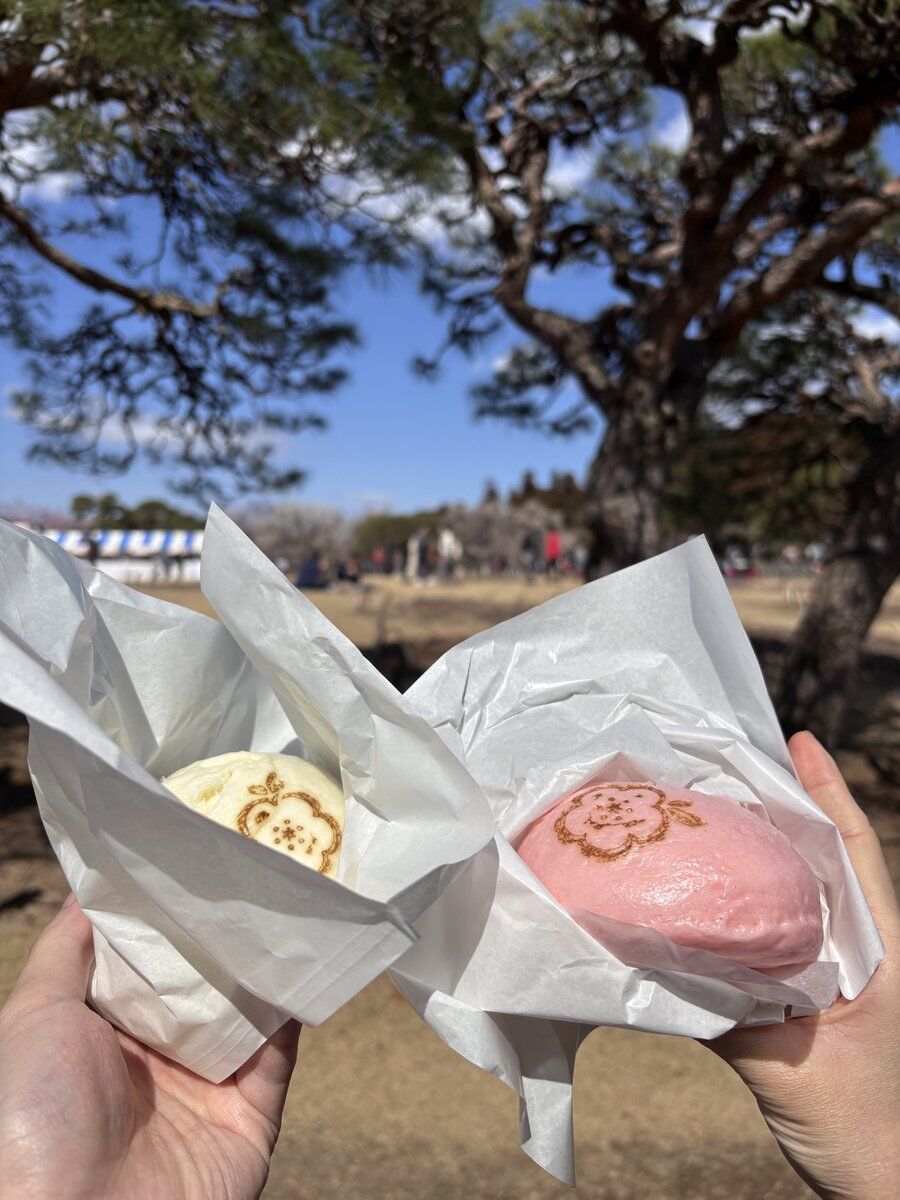 偕楽園の特設売店で買った梅え〜肉まんとUMEあんまん