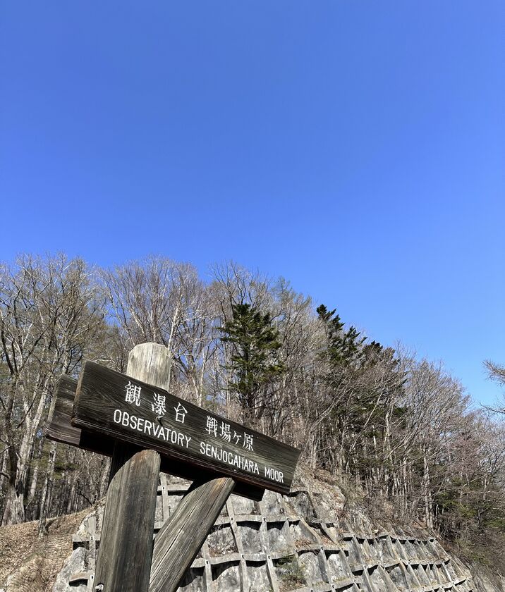 戦場ヶ原の観瀑台を案内する木の標識と、晴れた空