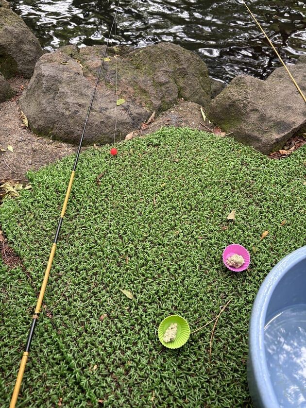 カップに入った黄緑色の練り餌と、芝の上に置いた釣り竿