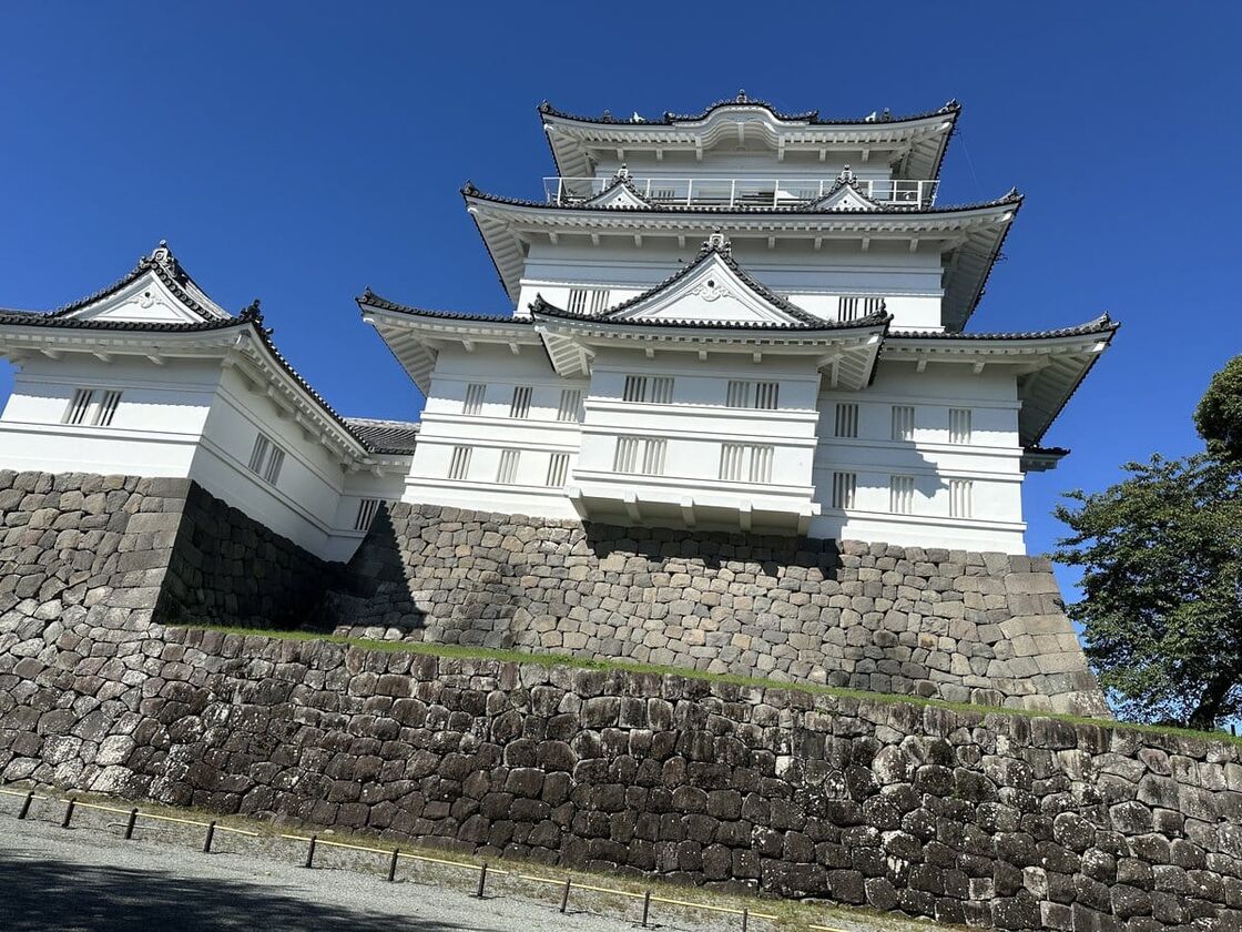 快晴の青空の下、高い石垣の上に立つ白い小田原城の天守